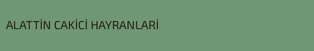 ALATTİN CAKİCİ HAYRANLARİ